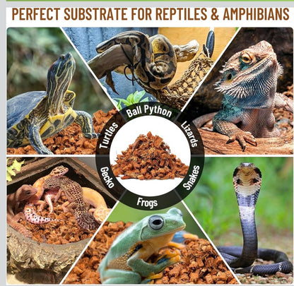 COMPRESSED COCONUT CHIP SUBSTRATE