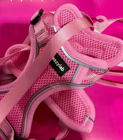 KITTY -PINK HARNESS AND LEASH