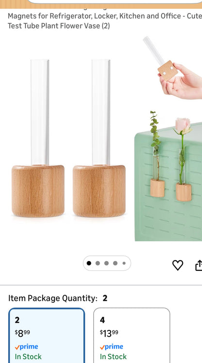 MINIATURE VASE  FRIDGE MAGNETS