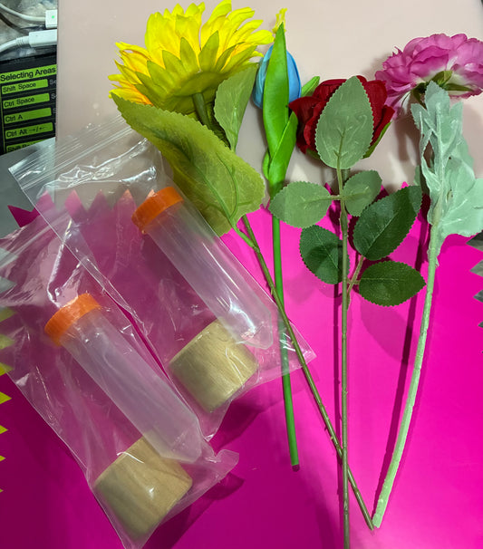 MINIATURE VASE  FRIDGE MAGNETS