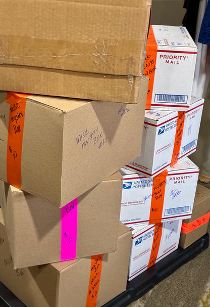 $10 MYSTERY BOXES
