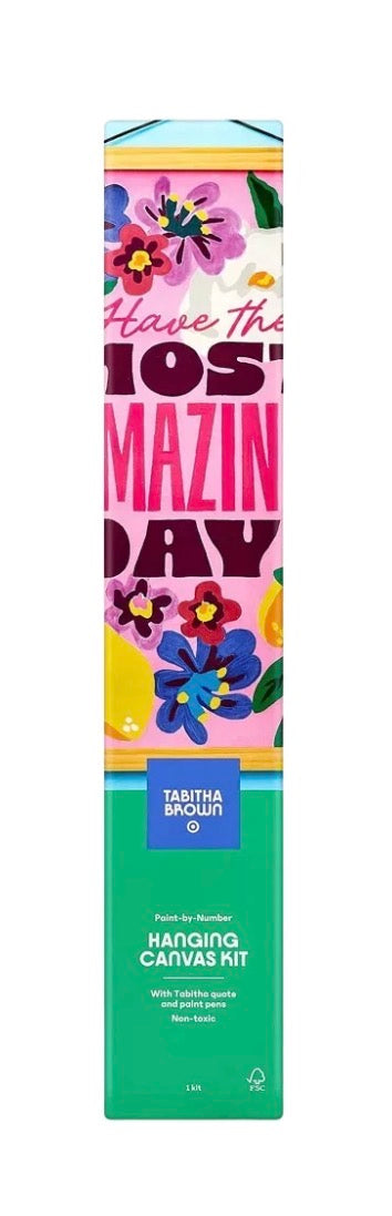 TABITHA BROWN PAINT BY NUMBER HANGING CANVAS KIT