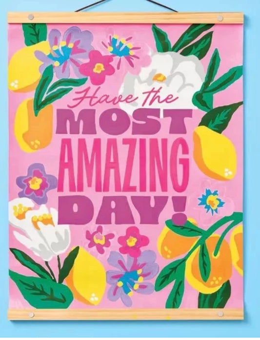 TABITHA BROWN PAINT BY NUMBER HANGING CANVAS KIT