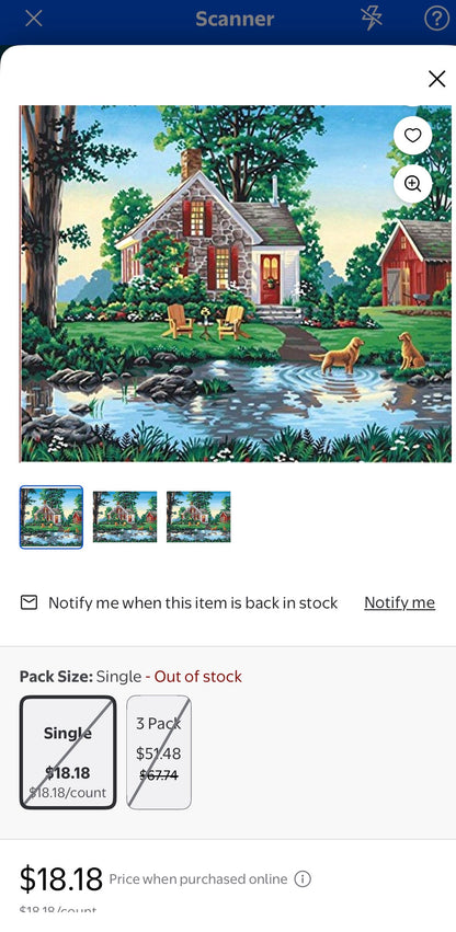 20 X 16 PAINT BY NUMBER  SUMMER COTTAGE