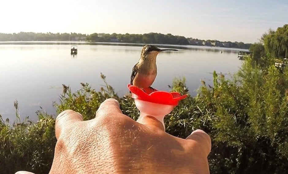 HUMMINGBIRD RING FEEDER