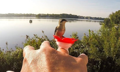 HUMMINGBIRD RING FEEDER