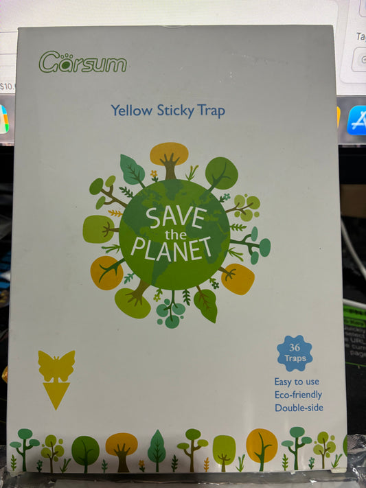 Fruit Fly Sticky Traps