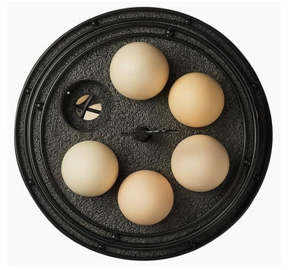 Maulehua Metal  Egg Storage Display Rack