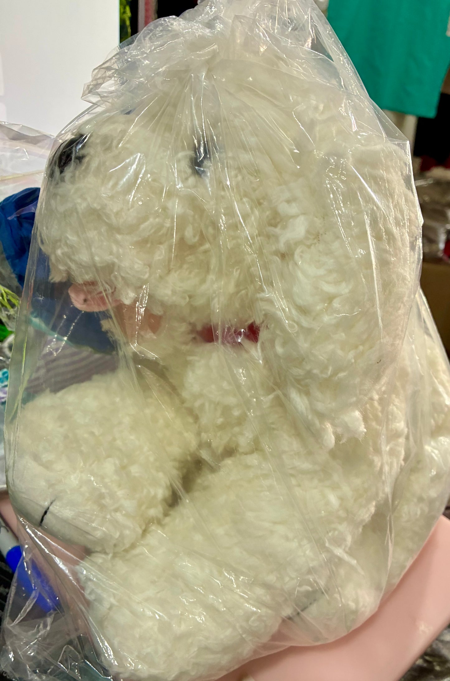 WHITE DOG -Build A Bear