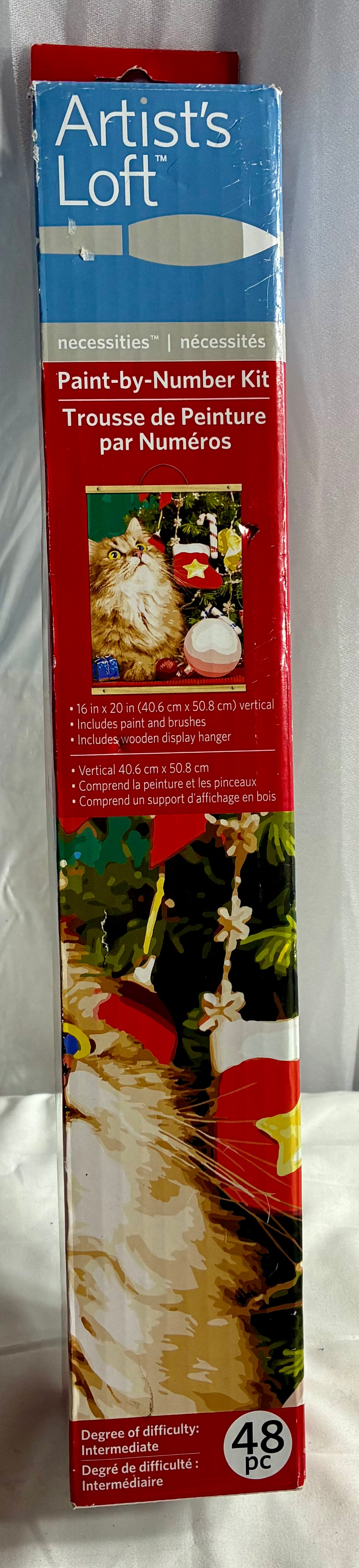 PAINT BY NUMBER KIT