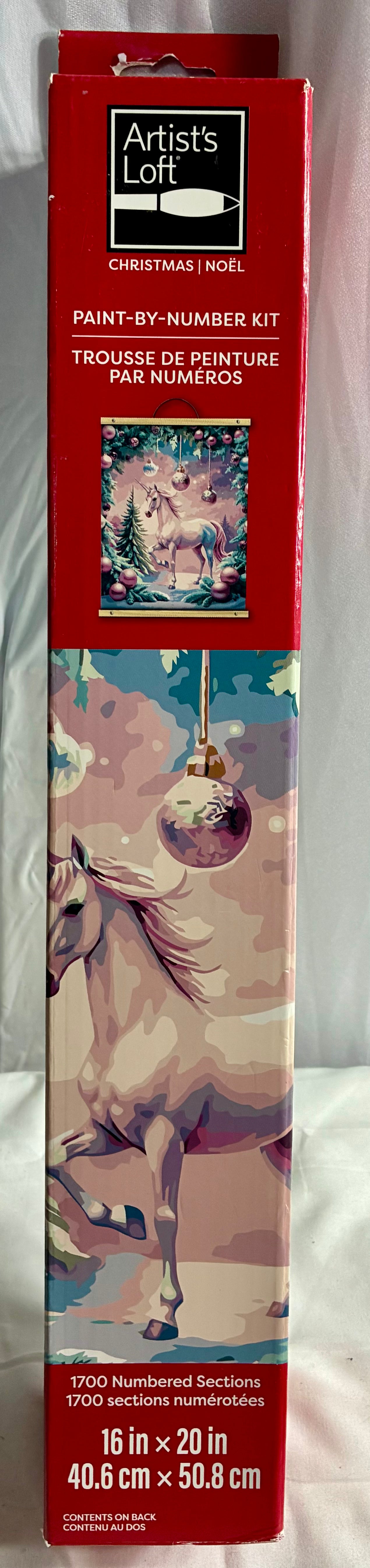 PAINT BY NUMBER KIT