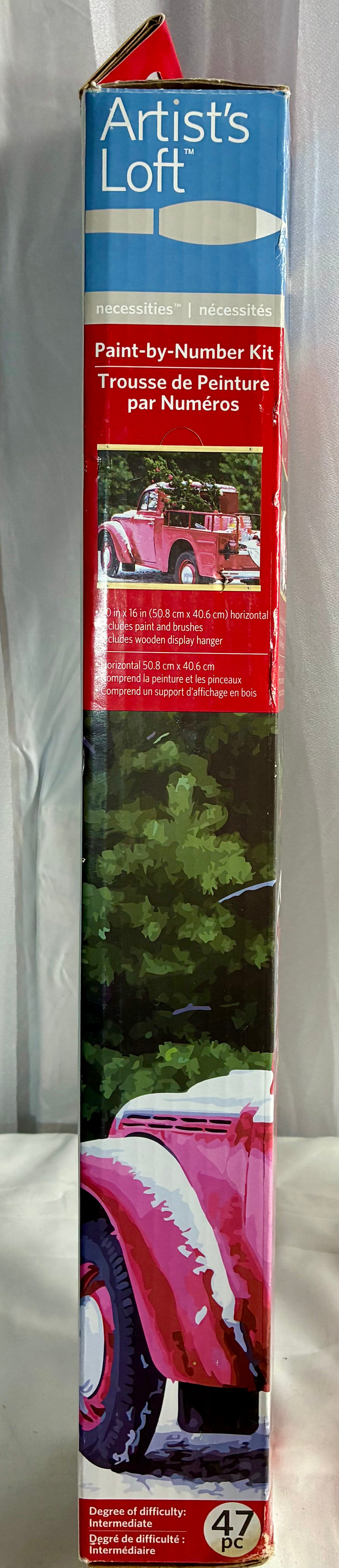 PAINT BY NUMBER KIT