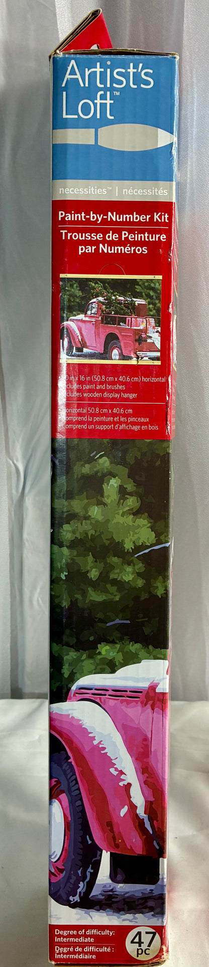 PAINT BY NUMBER KIT