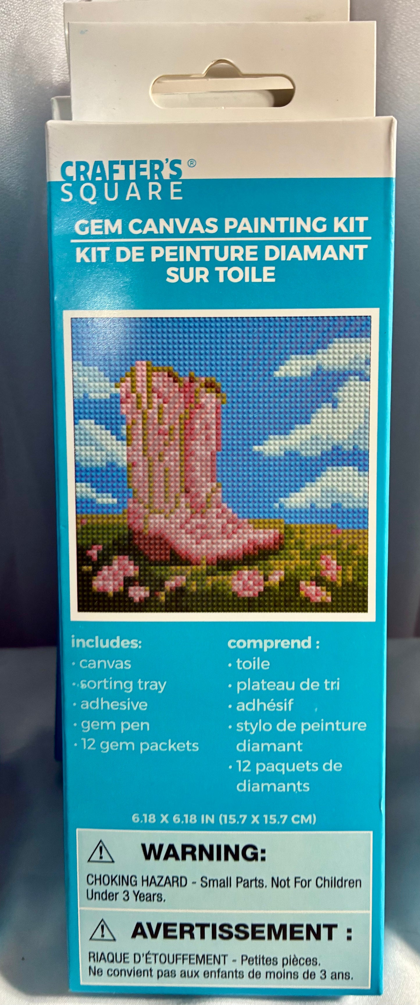 Crafter's Square Gem Canvas Painting Kit