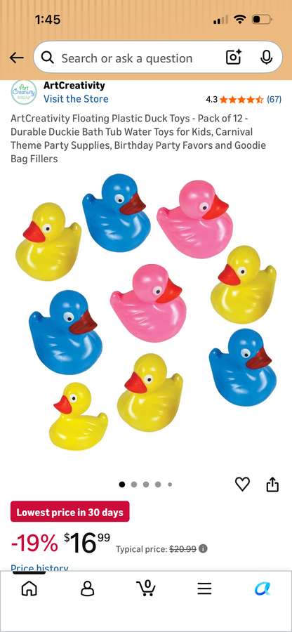 48 WEIGHTED FUN DUCKS