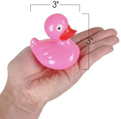 48 WEIGHTED FUN DUCKS