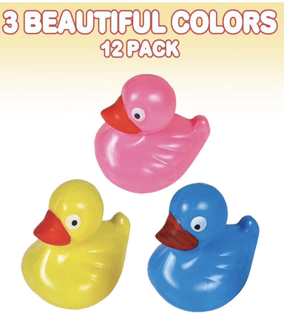 48 WEIGHTED FUN DUCKS