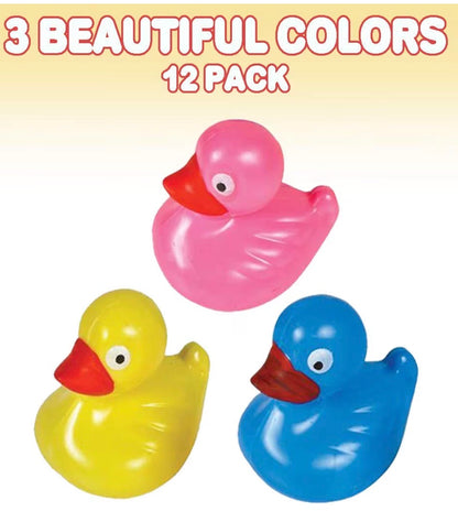 48 WEIGHTED FUN DUCKS