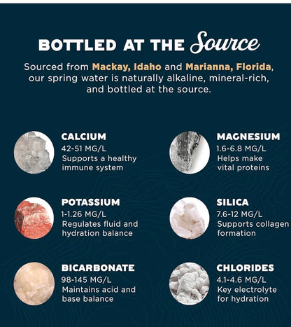 PROUD SOURCE SPRING WATER 8 PK of 16OZ CANS