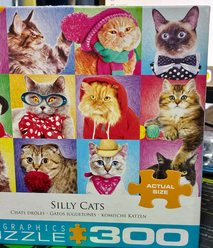 VARIOUS PUZZLES