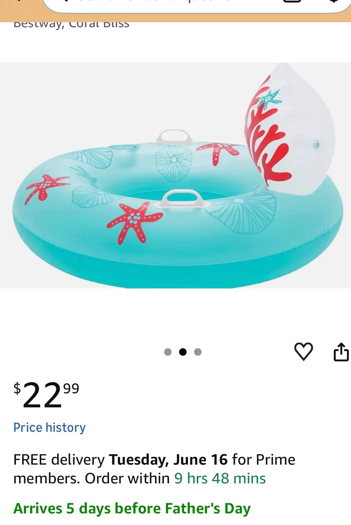 H2O GO 3 ft swim tube